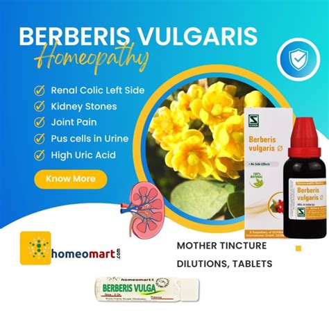 berberis vulgaris for kidney pain.